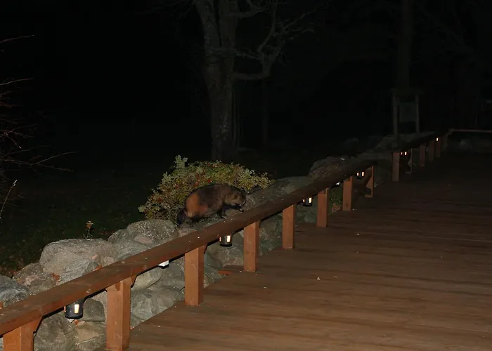 Guest house Tuulingu At Matsalu National Park 3*